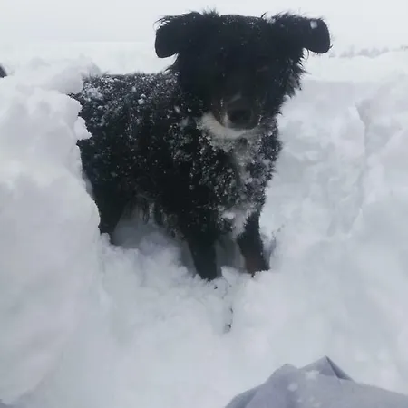 Apartman Mottnerhof Braz