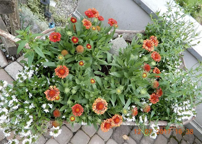 Mottnerhof Lejlighed